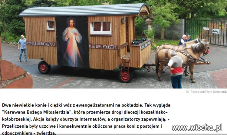 Yorki zamiast koników