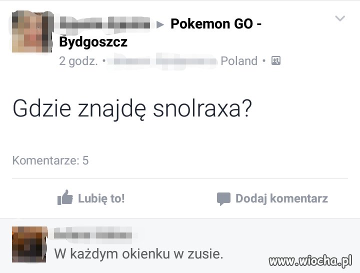 W poszukiwaniu pokemonów
