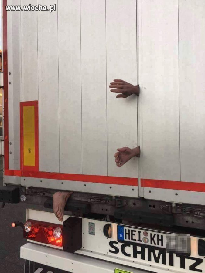Emigranci z Polski 