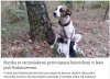 A ponoć Polska to