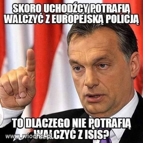 Szarańcza?