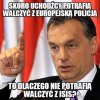 Szarańcza?