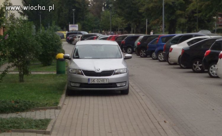 Miszcz parkowania