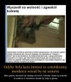 Znów zaatakował 
