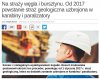 Skończy się wywóz muszelek i bursztynu z Mielna