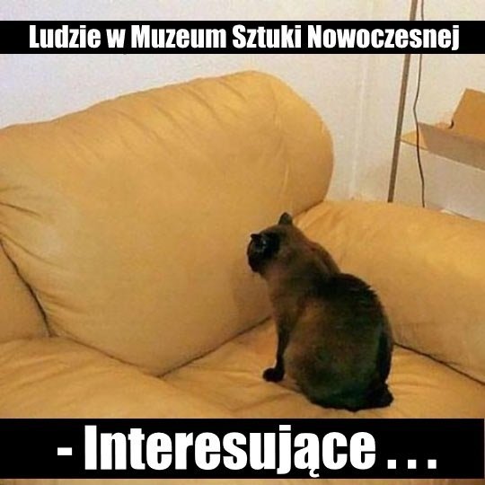 Tak to widzę ...