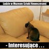 Tak to widzę ...