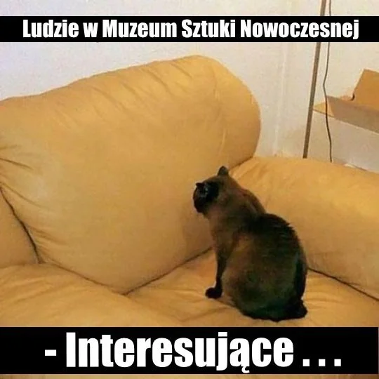Tak to widzę ...
