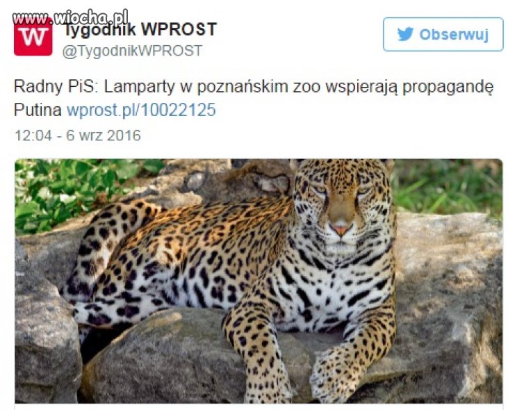 No tego się nie spodziewałem... 