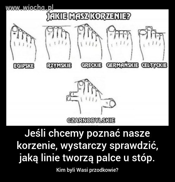 Przodkowie
