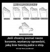 Przodkowie