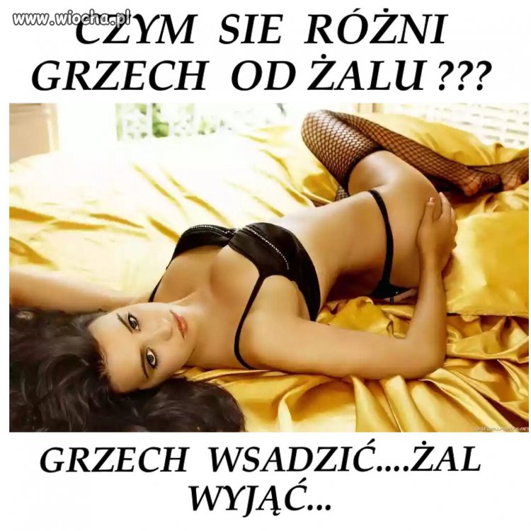 Wsadź i nie żałuj