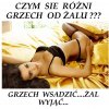 Wsadź i nie żałuj