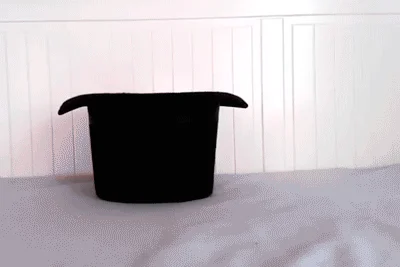 Jeżyk