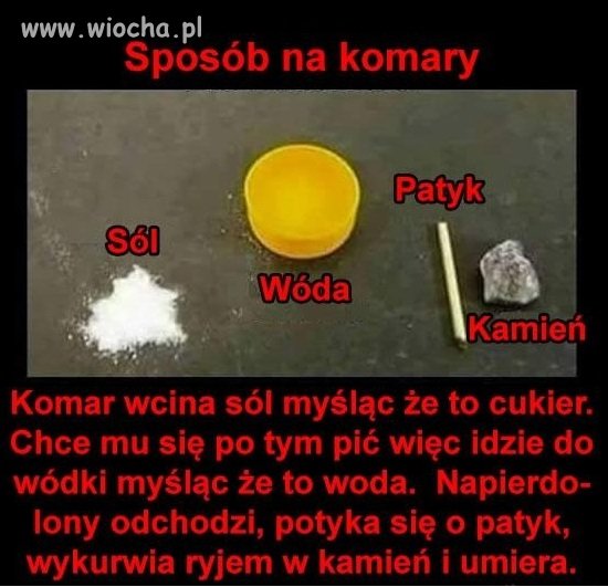 Sposób na komary
