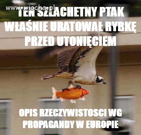 Taka rzeczywistość 