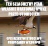 Taka rzeczywistość 