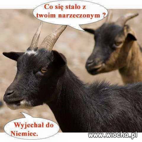 Ile takich "słomianych"wdów tam zostało.