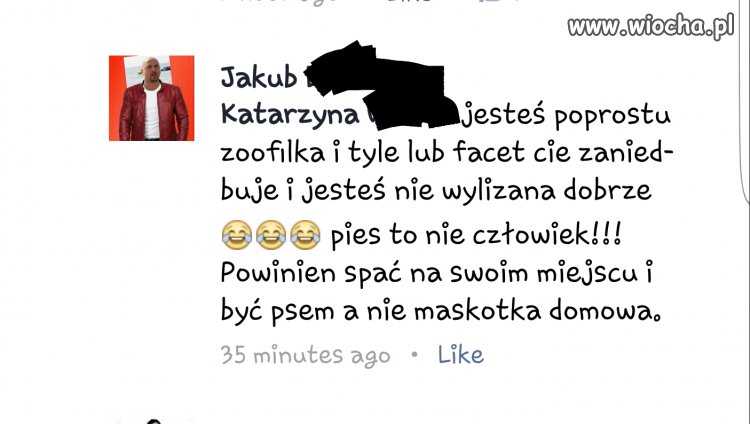 Znajomość znaczeń słów... brawo łysolu 