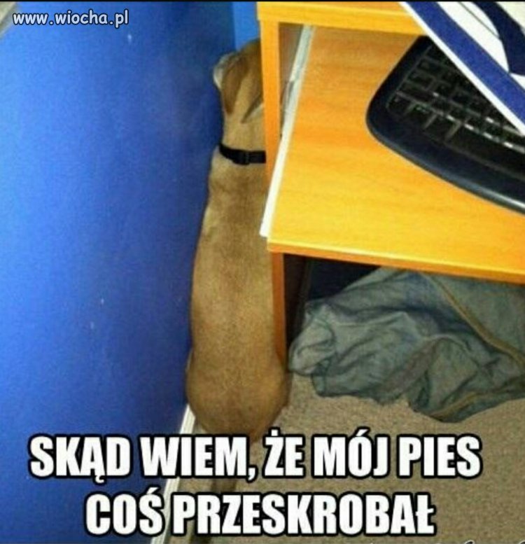 Winny...