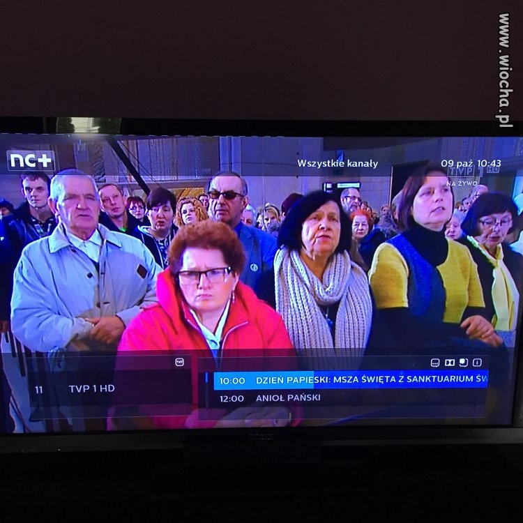 Program TVPis : 2h mszy, a pózniej anioł pański 