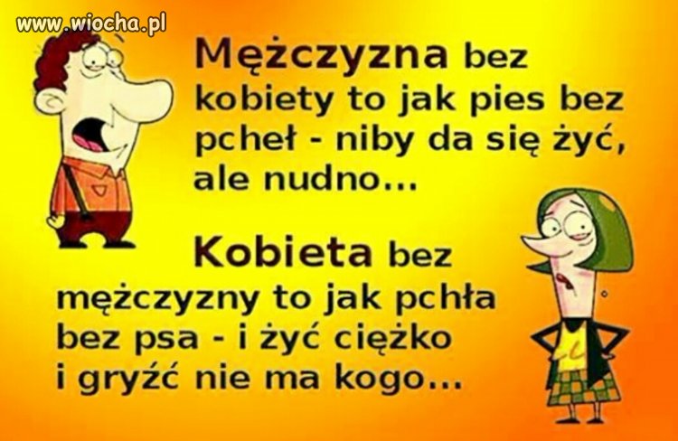 Szach i mat drogie panie 
