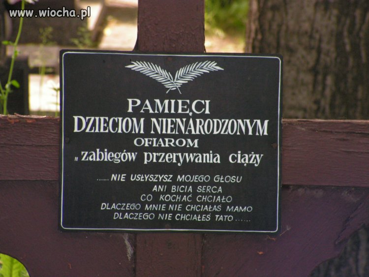 Twoje ciało - Twoja decyzja