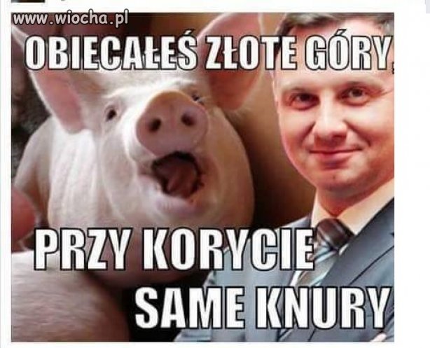 Bez komentarza