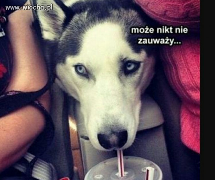 Może nikt nie zauważy...