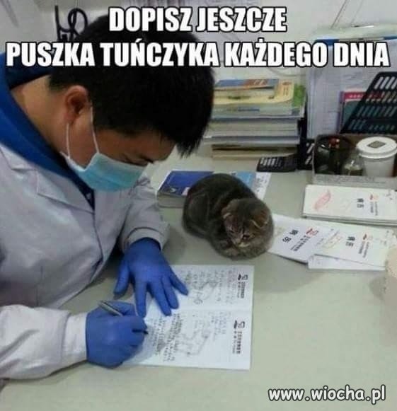 Puszka tuńczyka