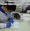 Puszka tuńczyka
