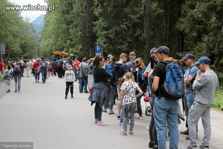 Kolejka do wozów na Morskie Oko...