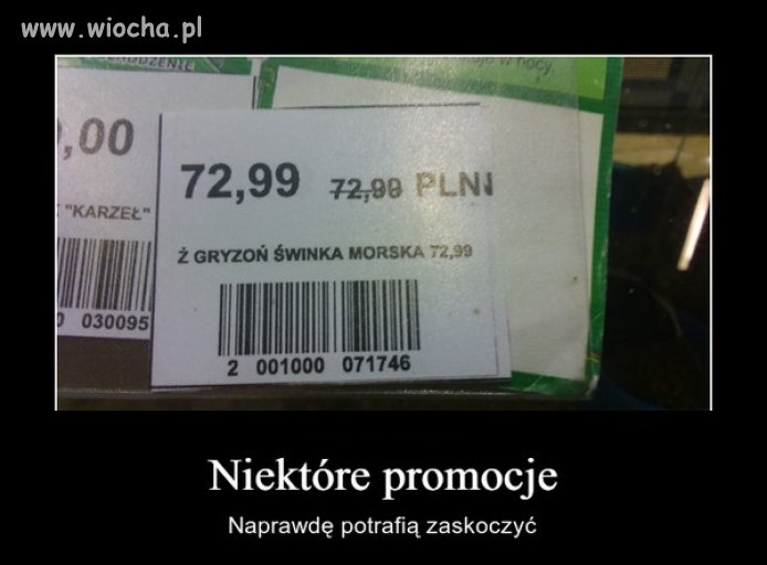 Promocja