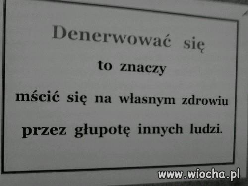 Po prostu perełka na wioskę 