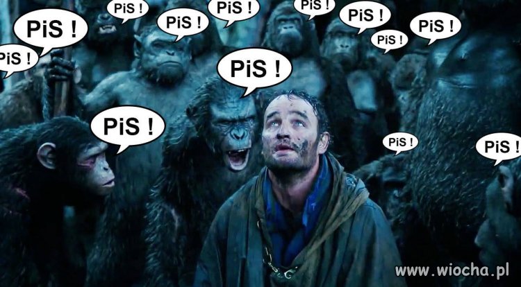 Wszędzie to samo