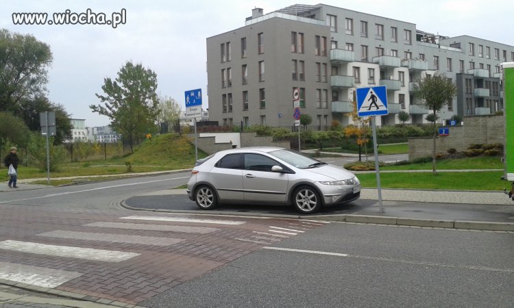 Mistrz parkowania