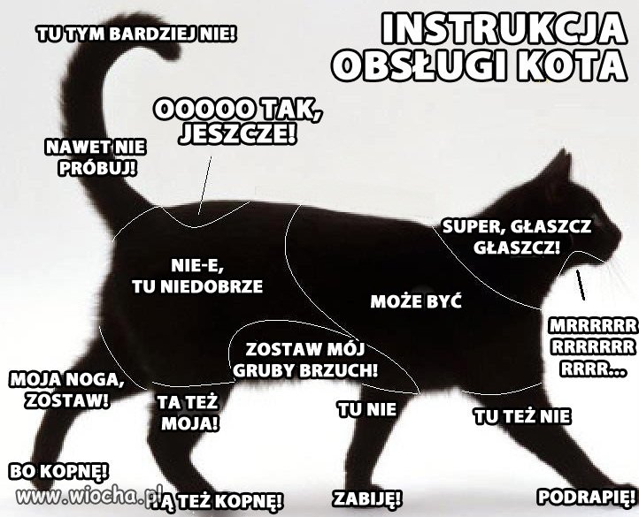 Instrukcja obsługi kota.