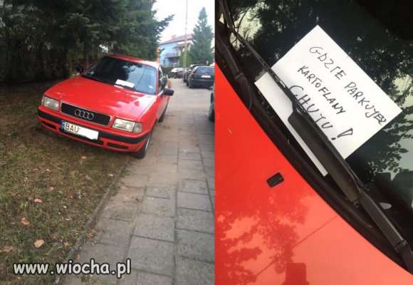 Burak w mieście.