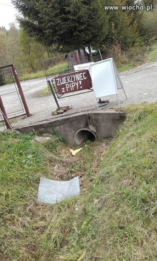 Zwierzyniec z Pipy!