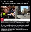 Bezkarność