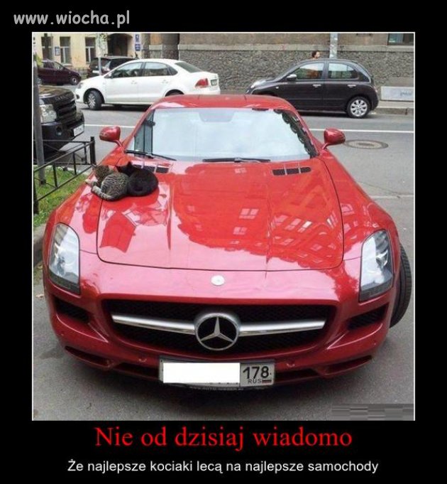 Coś w tym jest.