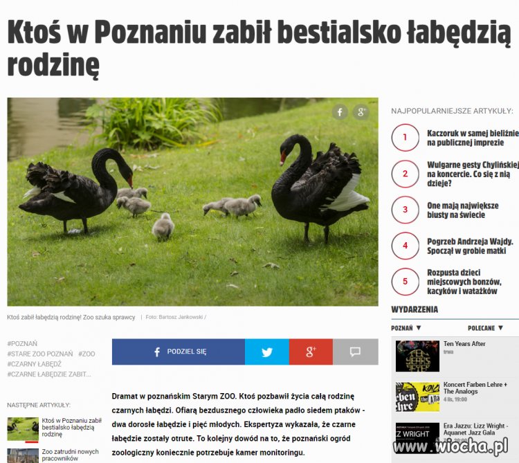 Po prostu brak słów