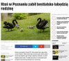 Po prostu brak słów