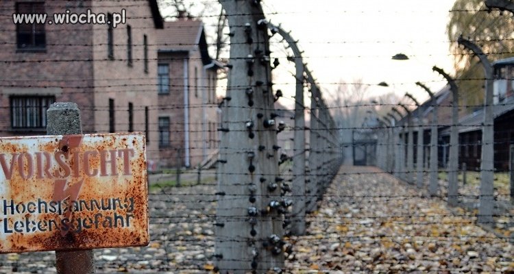 "Najpiękniejsze obozy koncentracyjne Niemiec"