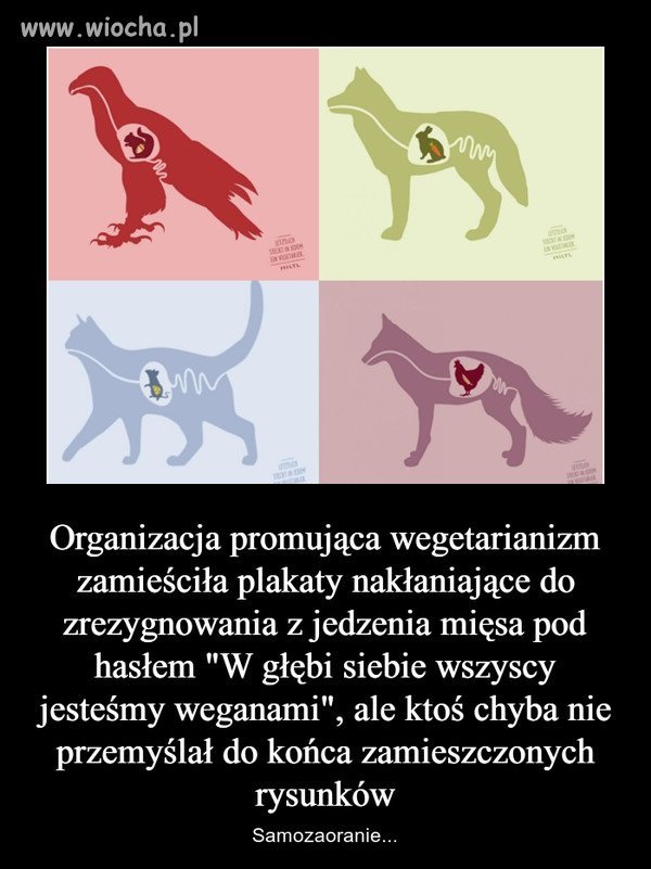 Samozaoranie wegan.