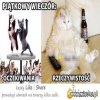 Piątek piąteczek piantunio 