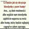 No w sumie jest to logiczne..