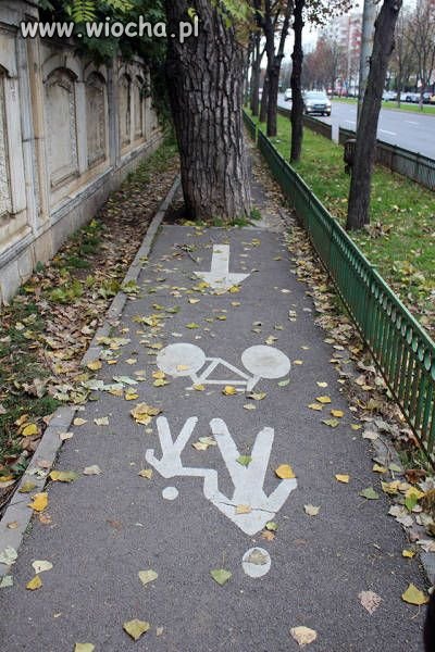 Ścieżka rowerowa z przeszkodami