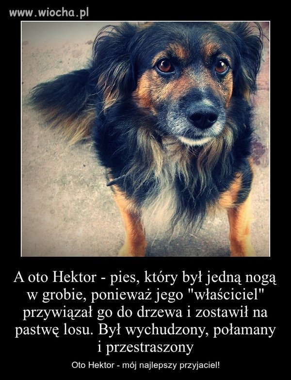 Ludzie nie mają serca, a szkoda. 