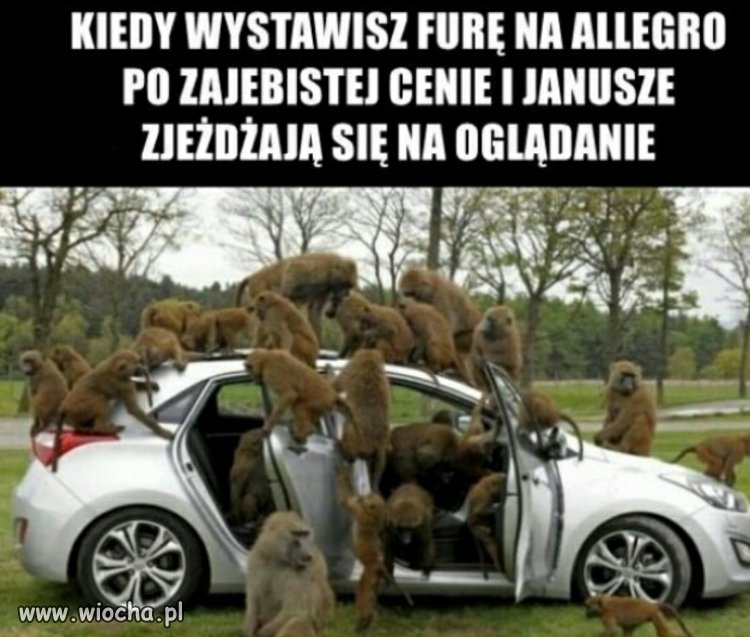 Właśnie tak jest..